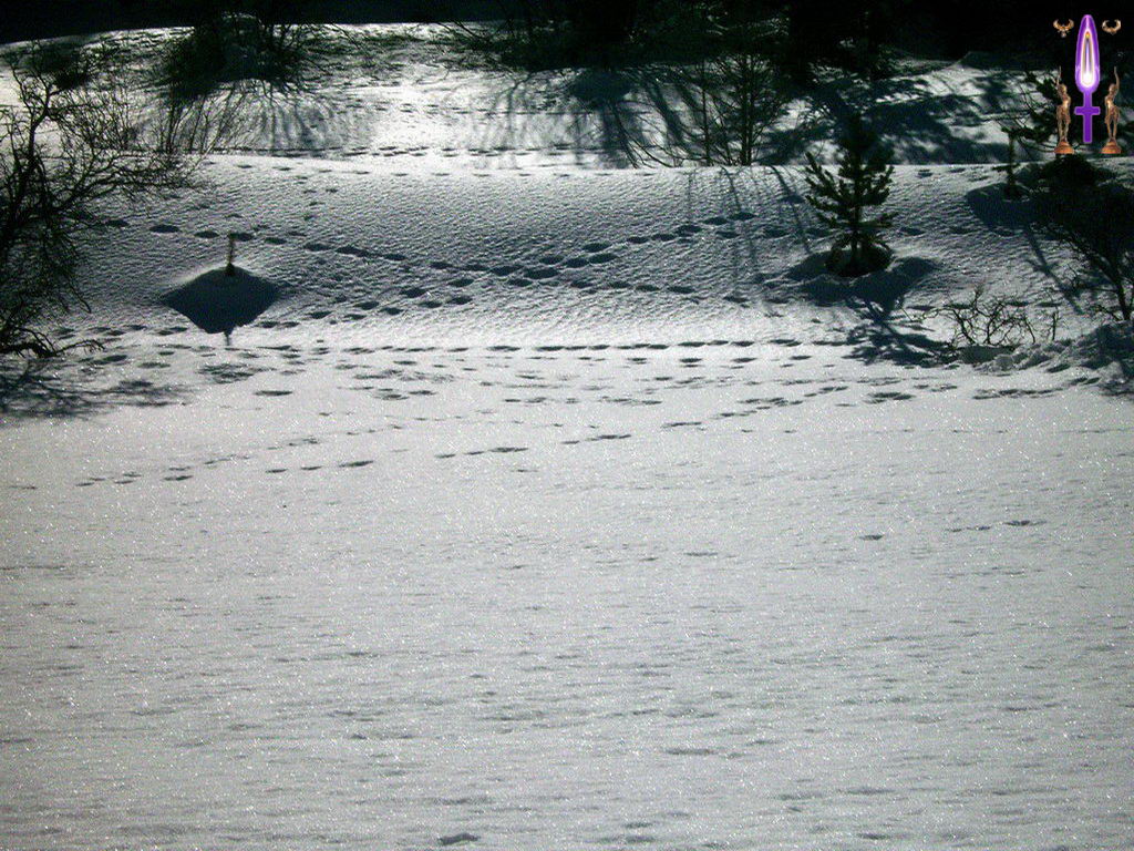 Croix de Lumière, Photo de la Série J No 58 