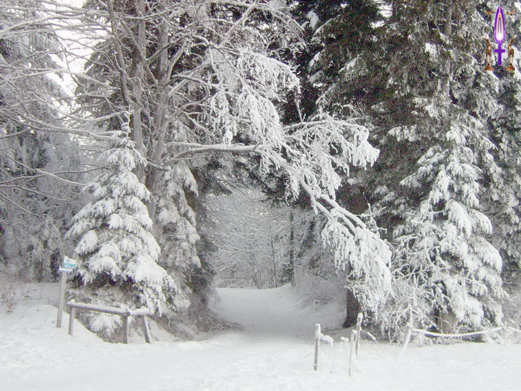 Croix de Lumière, Photo de la Série J No 59 