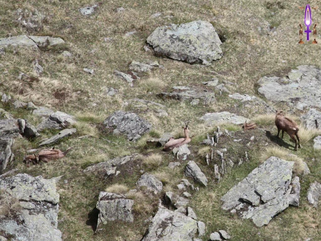 Croix de Lumière, Photo de la Série J No 61 