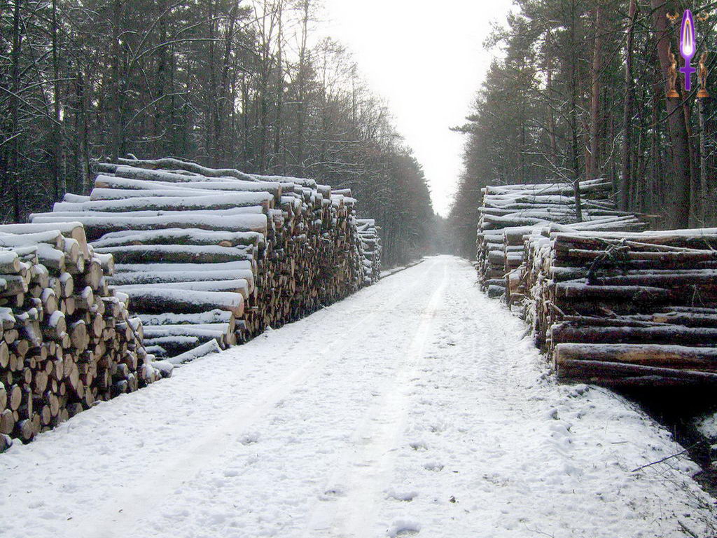 Croix de Lumière, Photo de la Série J No 68 