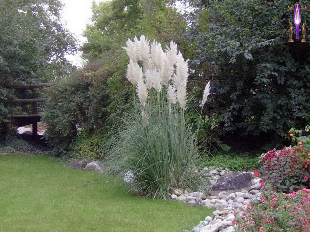 Cliquez sur la Photo pour quitter le Diaporama et Ouvrir la Photo correspondante...