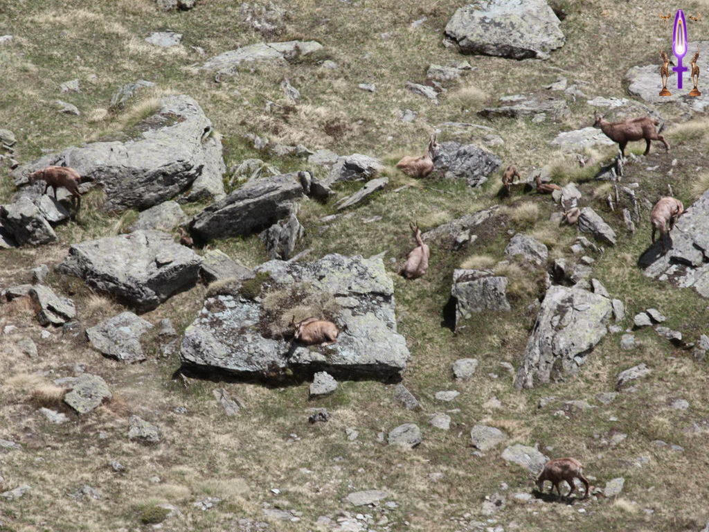 Croix de Lumière, Photo de la Série J No 75 