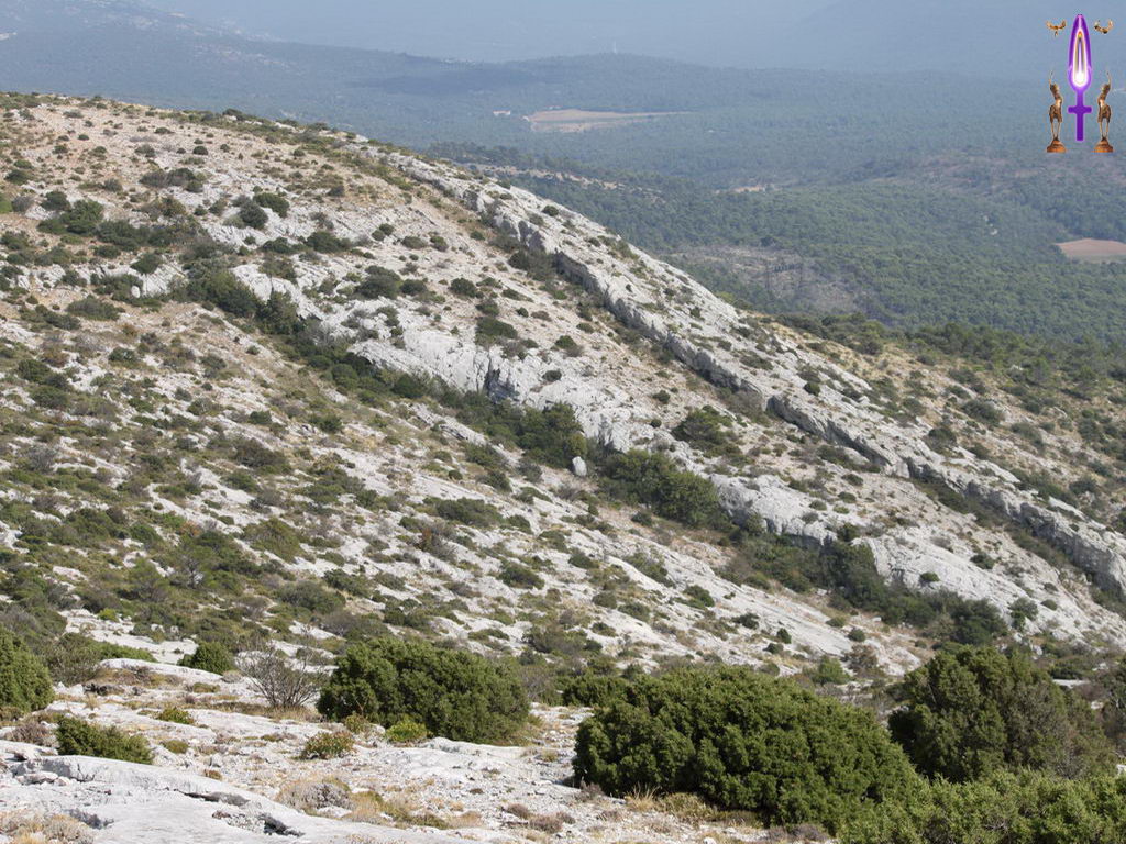 Croix de Lumière, Photo de la Série J No 77 