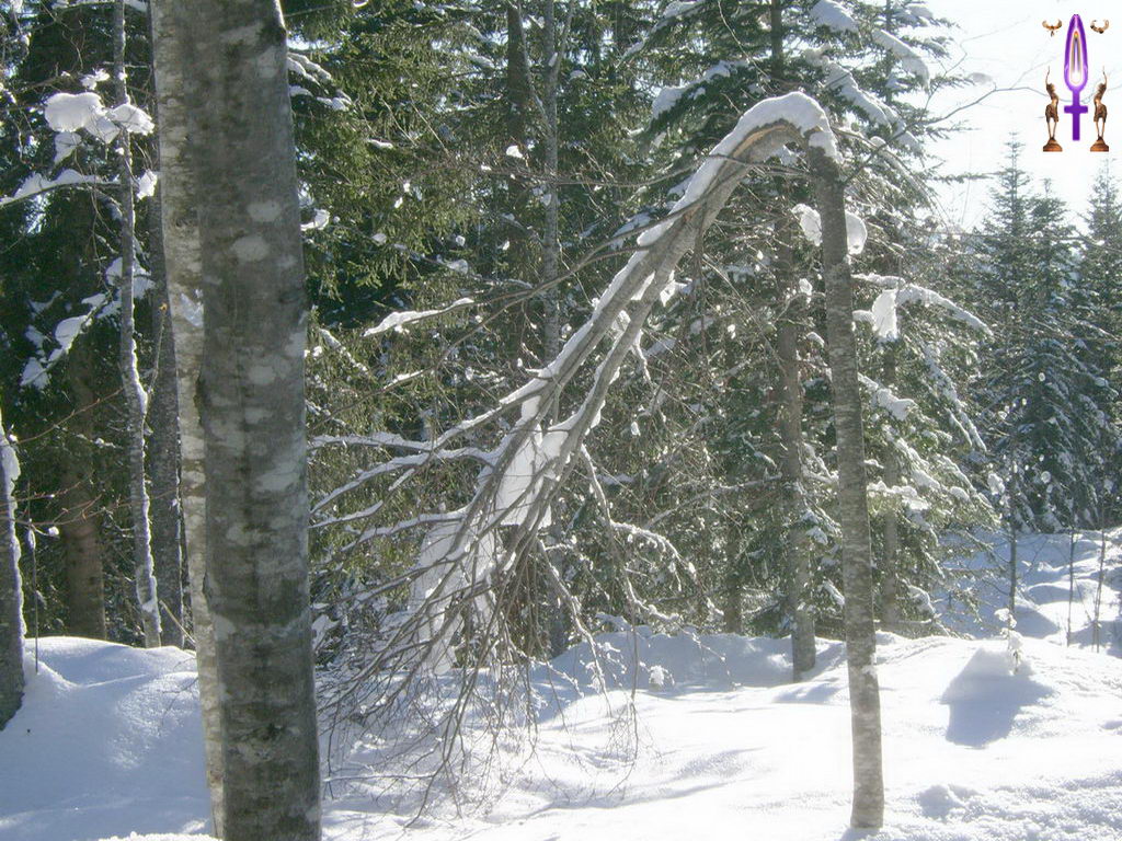 Croix de Lumière, Photo de la Série J No 84 