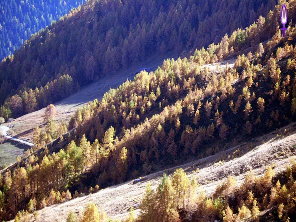 Croix de Lumière, Photo de la Série J No 87 