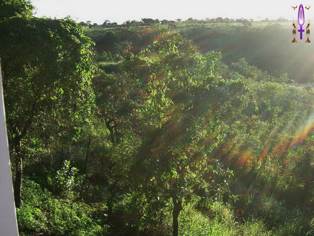 Cliquez sur la Photo pour quitter le Diaporama et Ouvrir la Photo correspondante...