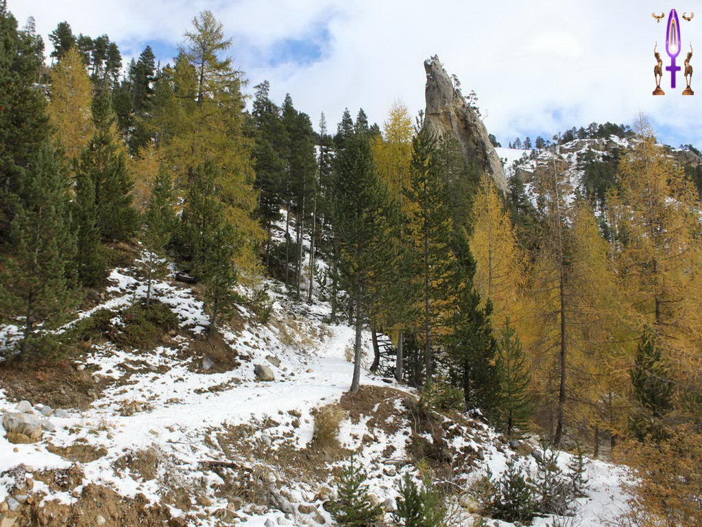 Croix de Lumière, Photo de la Série J No 98 