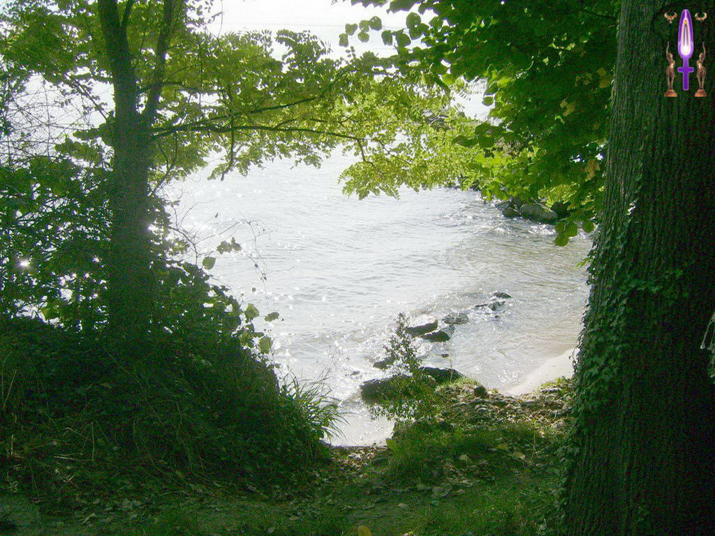 Croix de Lumière, Photo de la Série J No 99 