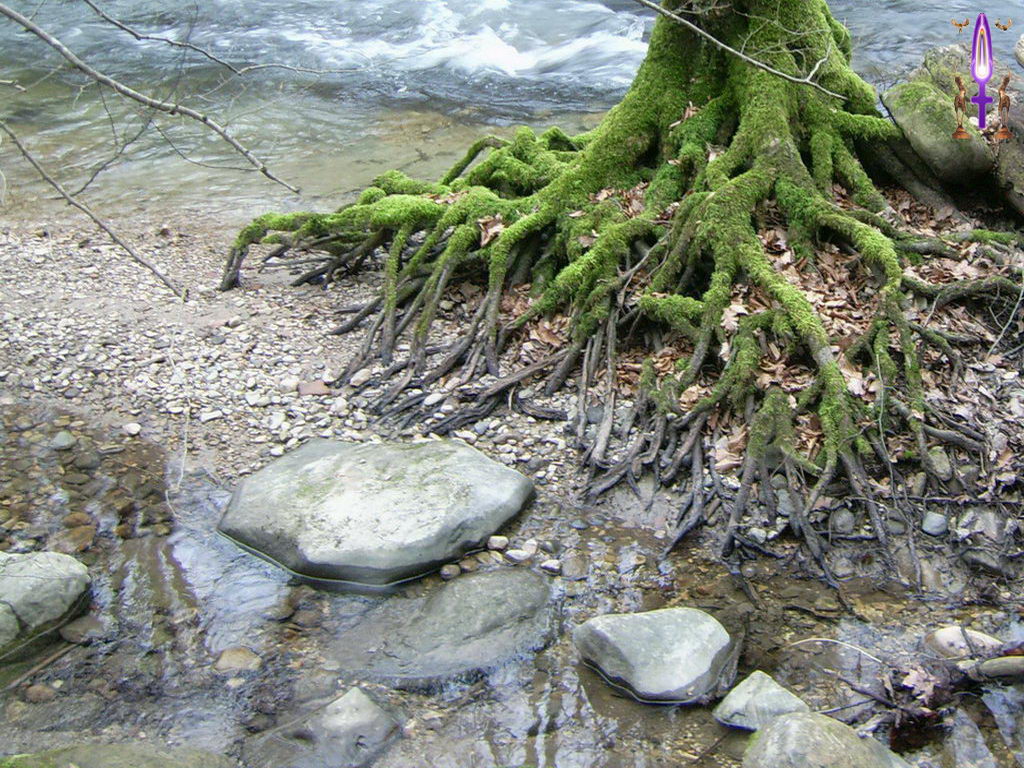 Croix de Lumière, Photo de la Série J No 100 