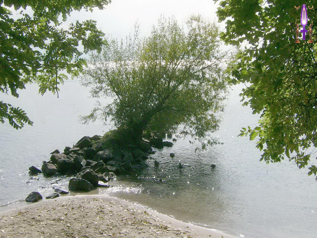 Croix de Lumière, Photo de la Série J No 101 
