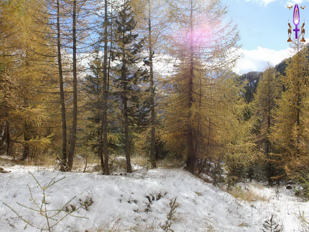 Croix de Lumière, Photo de la Série J No 103 