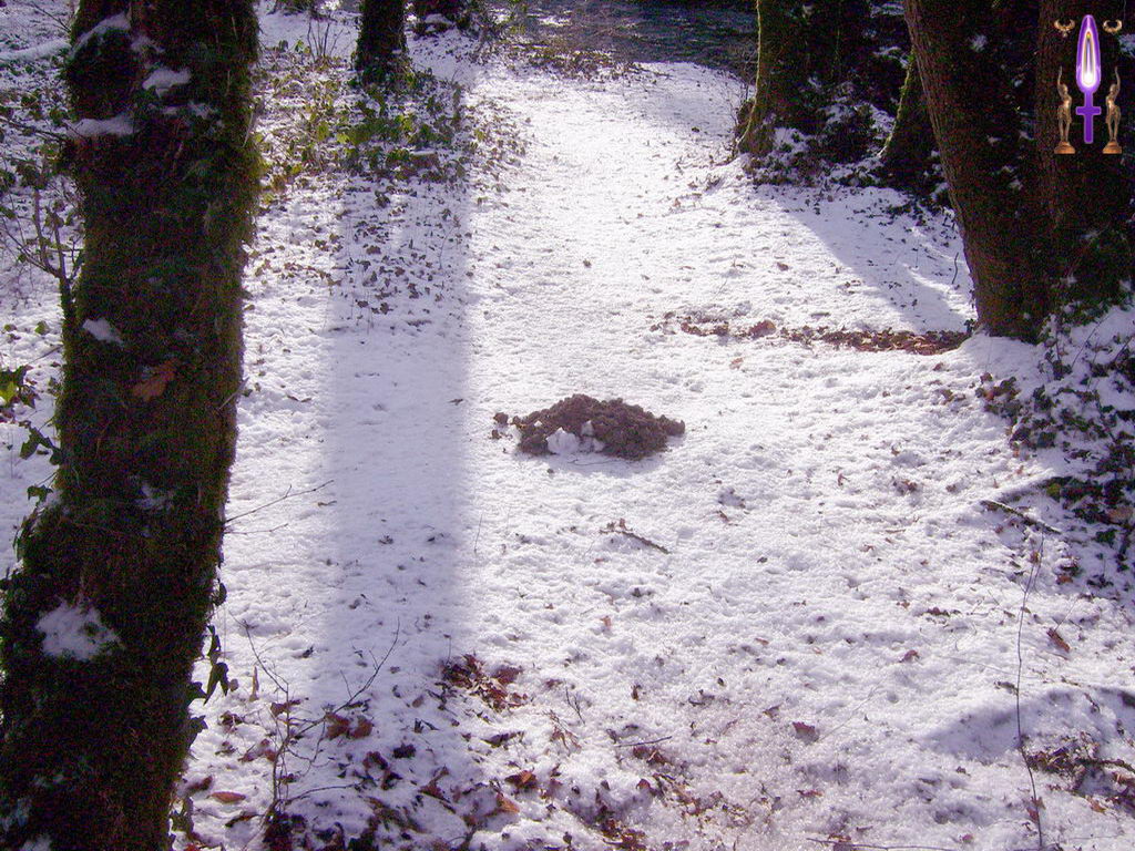 Croix de Lumière, Photo de la Série J No 107 