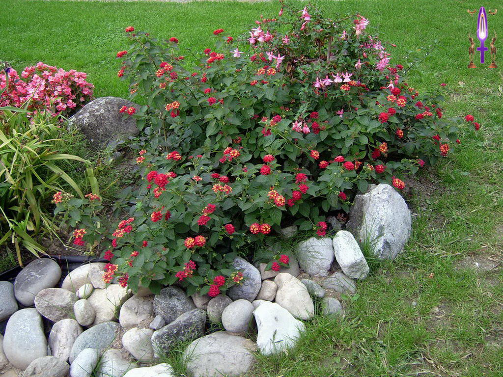 Croix de Lumière, Photo de la Série K No 24 