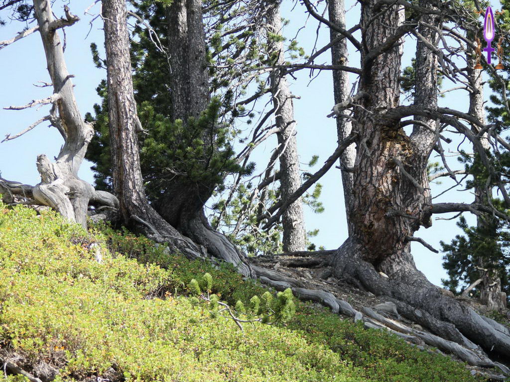 Croix de Lumière, Photo de la Série K No 28 