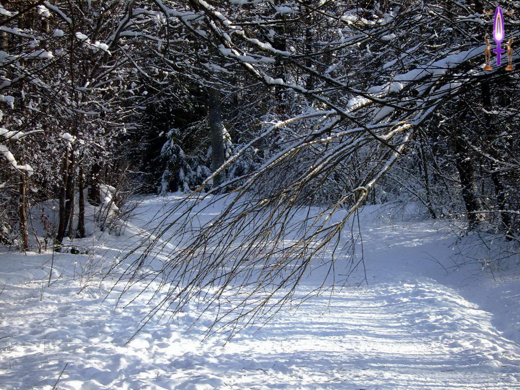 Croix de Lumière, Photo de la Série K No 29 