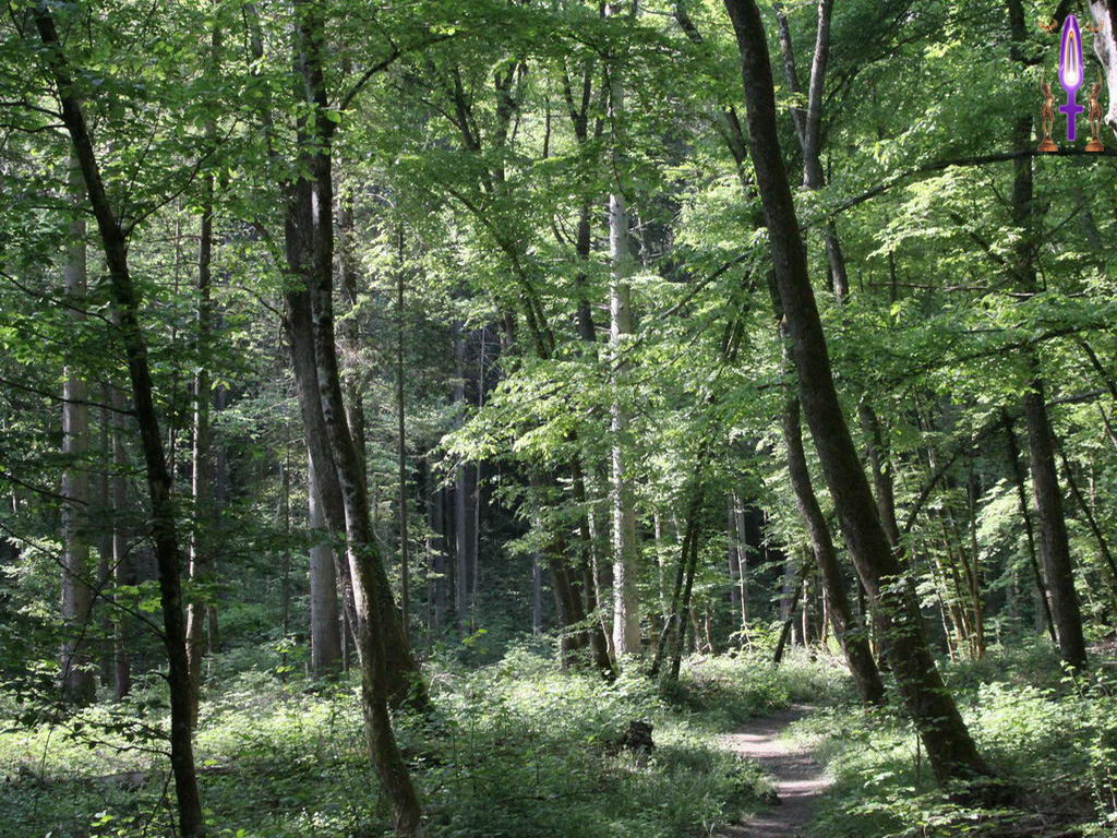Croix de Lumière, Photo de la Série K No 30 