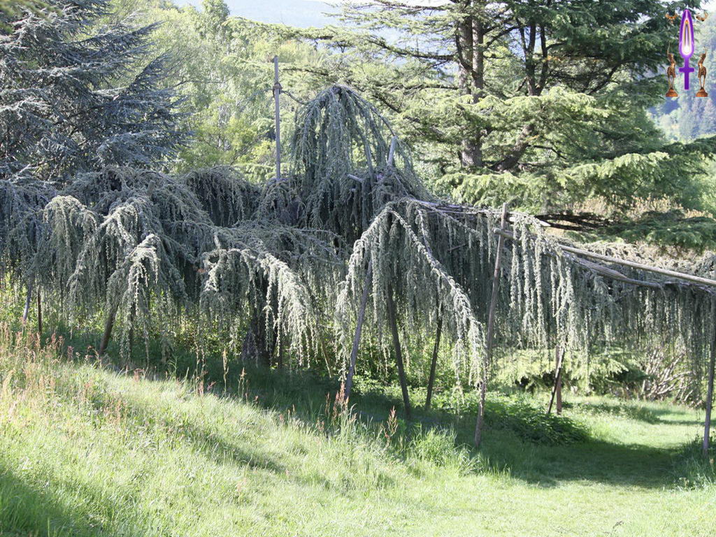 Croix de Lumière, Photo de la Série K No 31 