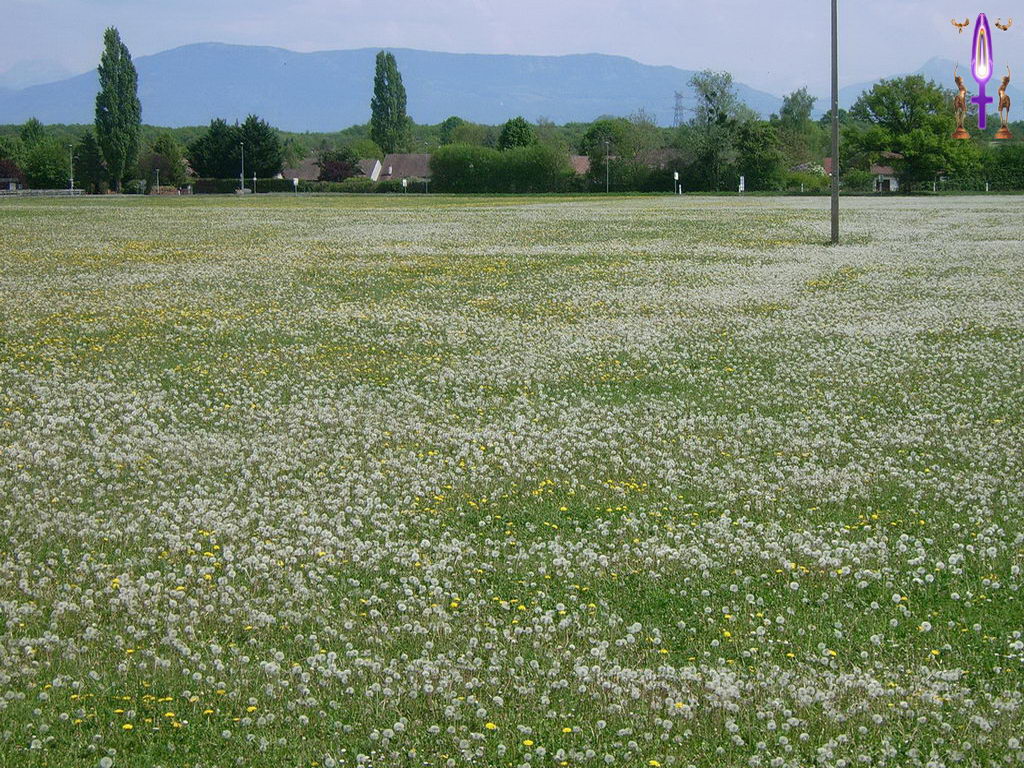 Croix de Lumière, Photo de la Série K No 32 