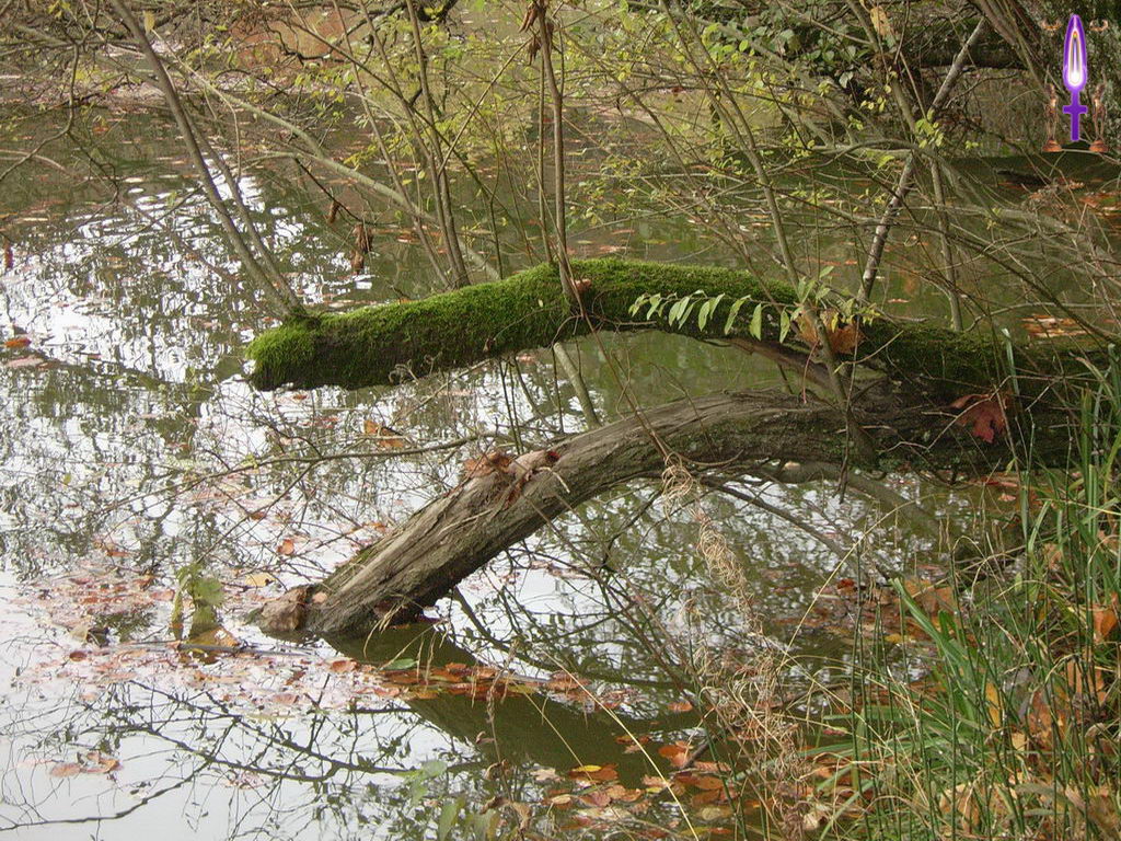 Croix de Lumière, Photo de la Série K No 36 