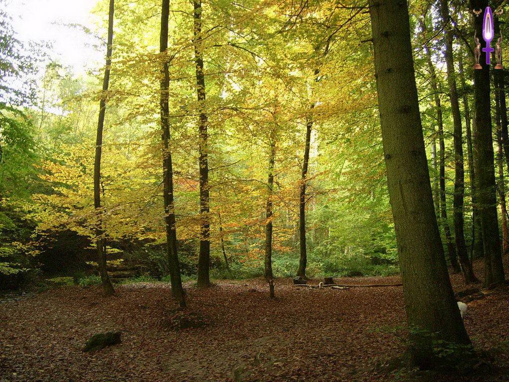 Croix de Lumière, Photo de la Série K No 38 