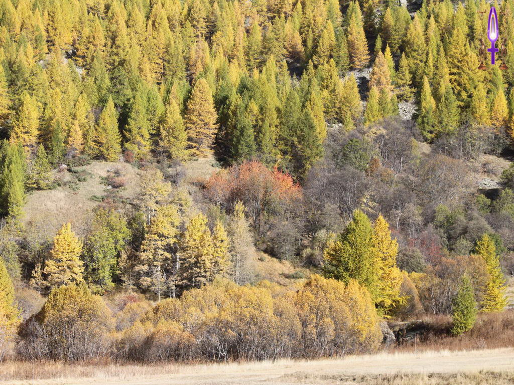 Croix de Lumière, Photo de la Série K No 39 