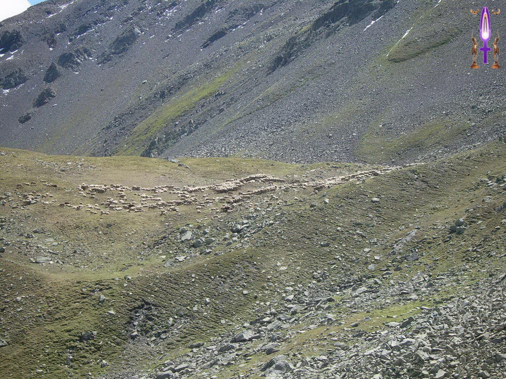 Croix de Lumière, Photo de la Série K No 40 