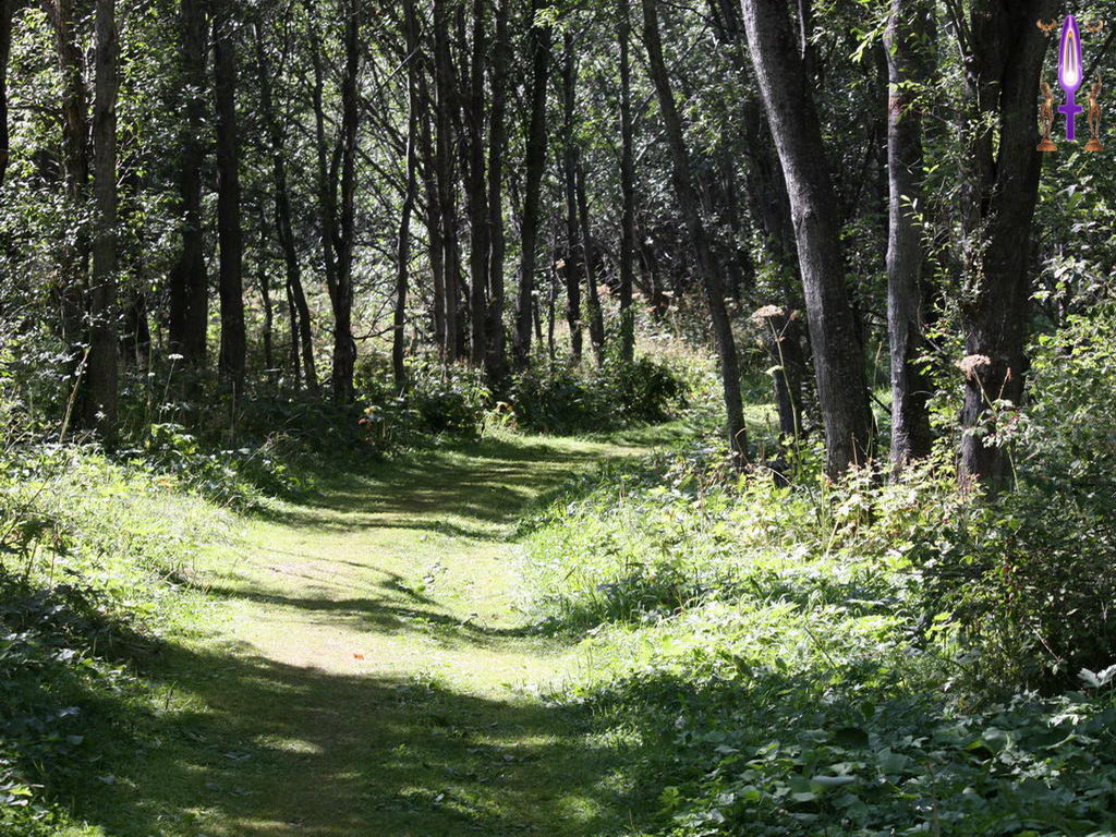 Croix de Lumière, Photo de la Série K No 42 
