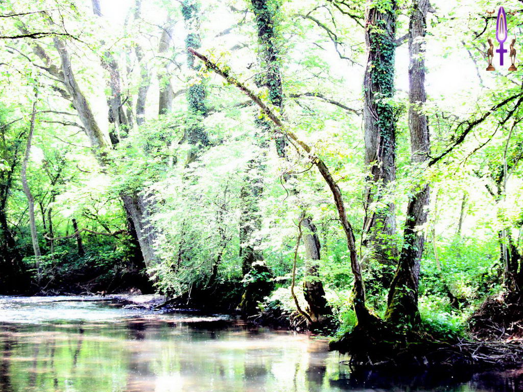 Croix de Lumière, Photo de la Série K No 45 