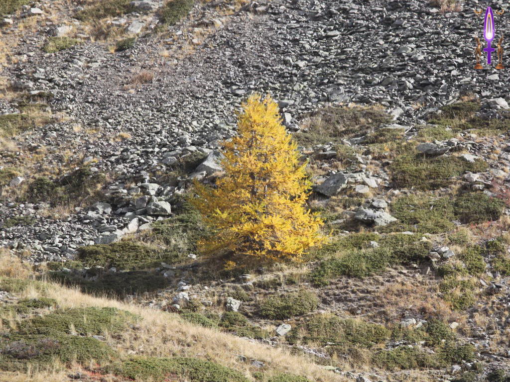 Croix de Lumière, Photo de la Série K No 49 