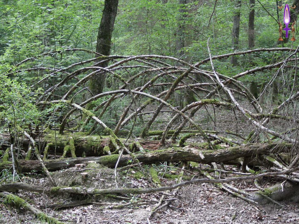Croix de Lumière, Photo de la Série K No 52 