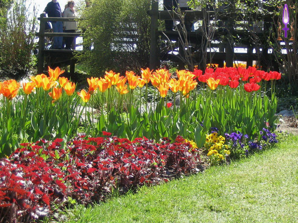 Croix de Lumière, Photo de la Série K No 56 