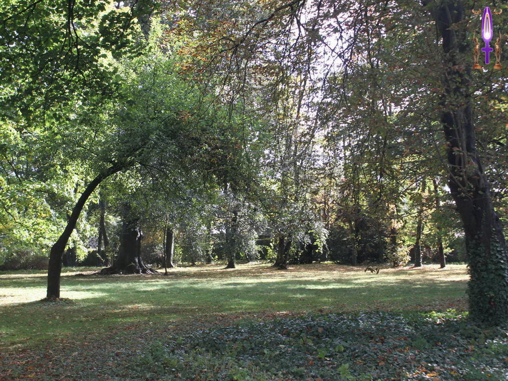 Croix de Lumière, Photo de la Série K No 59 