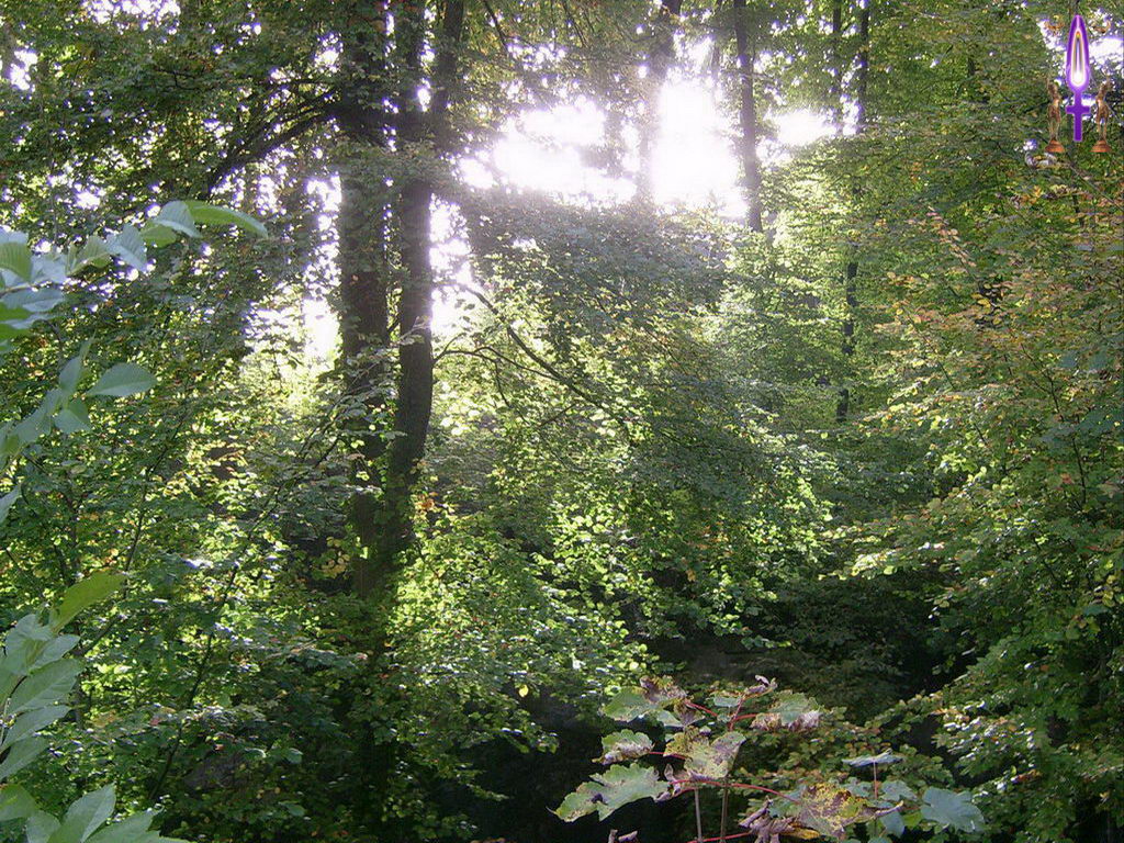 Croix de Lumière, Photo de la Série K No 010 