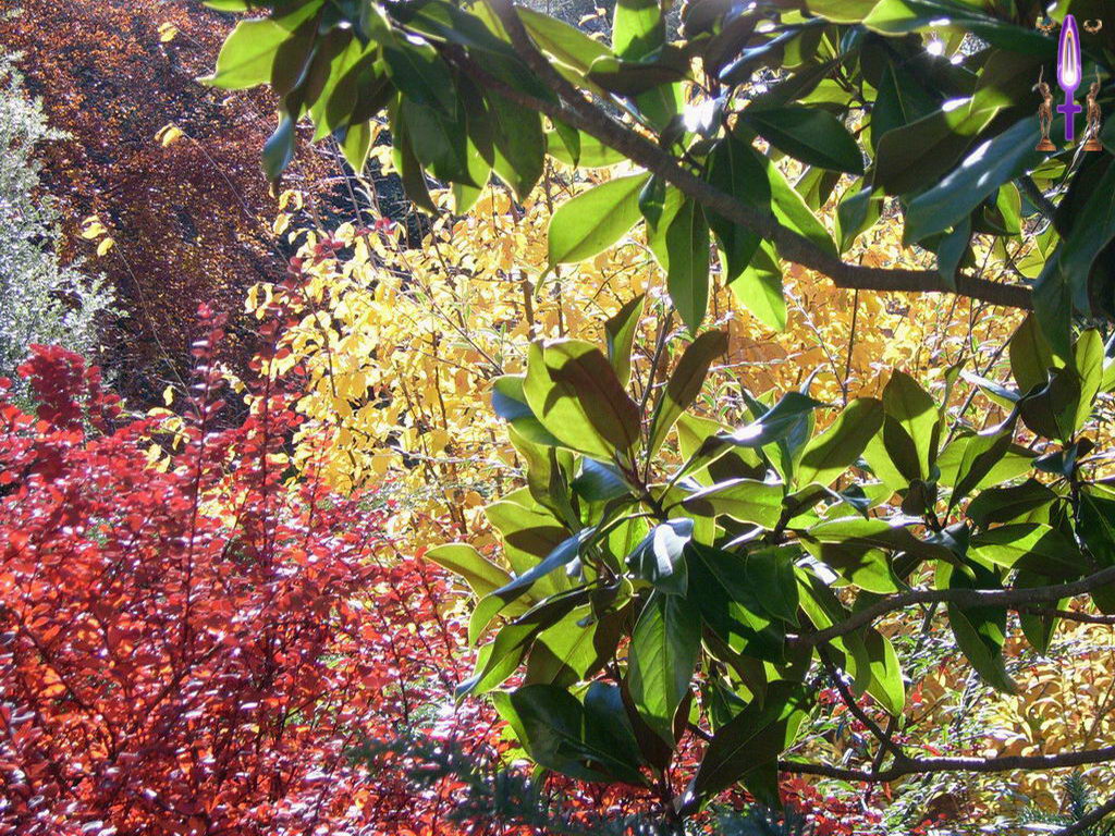 Croix de Lumière, Photo de la Série K No 62 