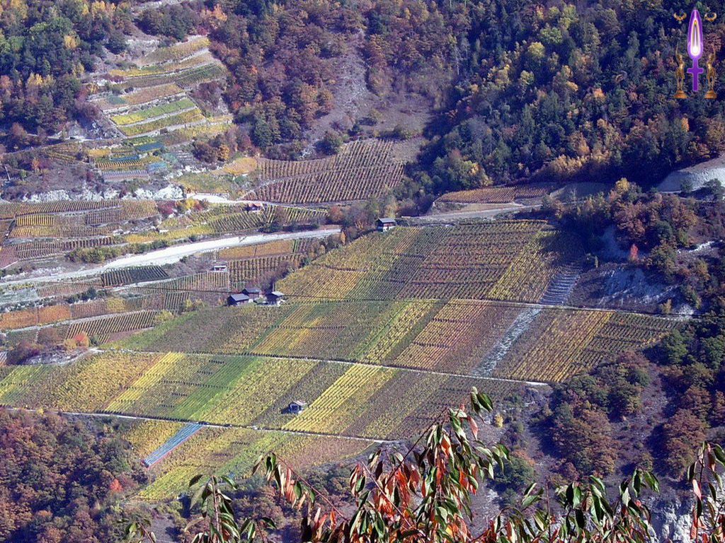 Croix de Lumière, Photo de la Série K No 65 