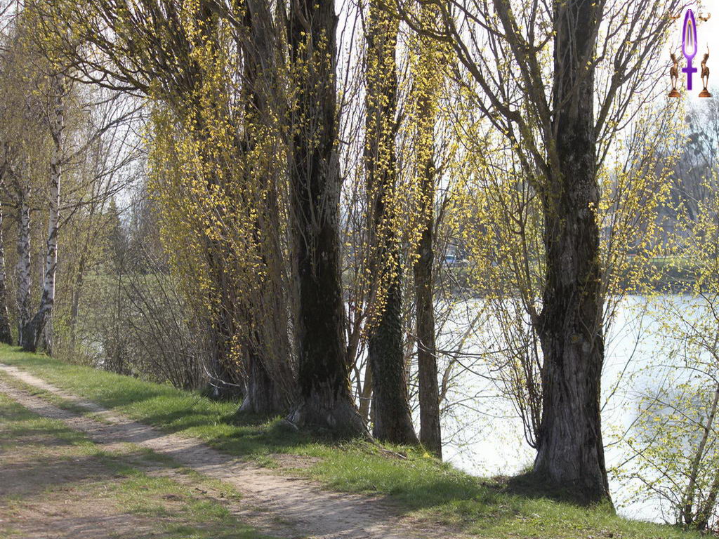 Croix de Lumière, Photo de la Série K No 66 