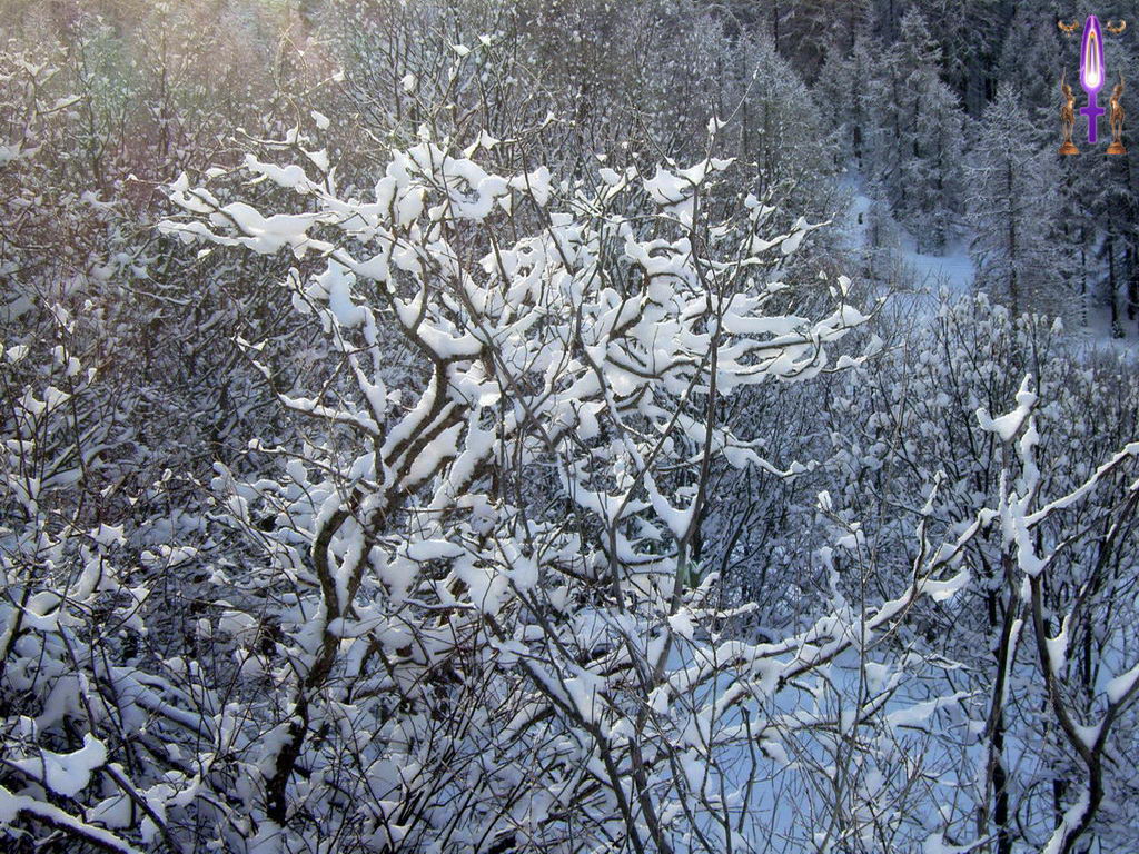 Croix de Lumière, Photo de la Série K No 67 
