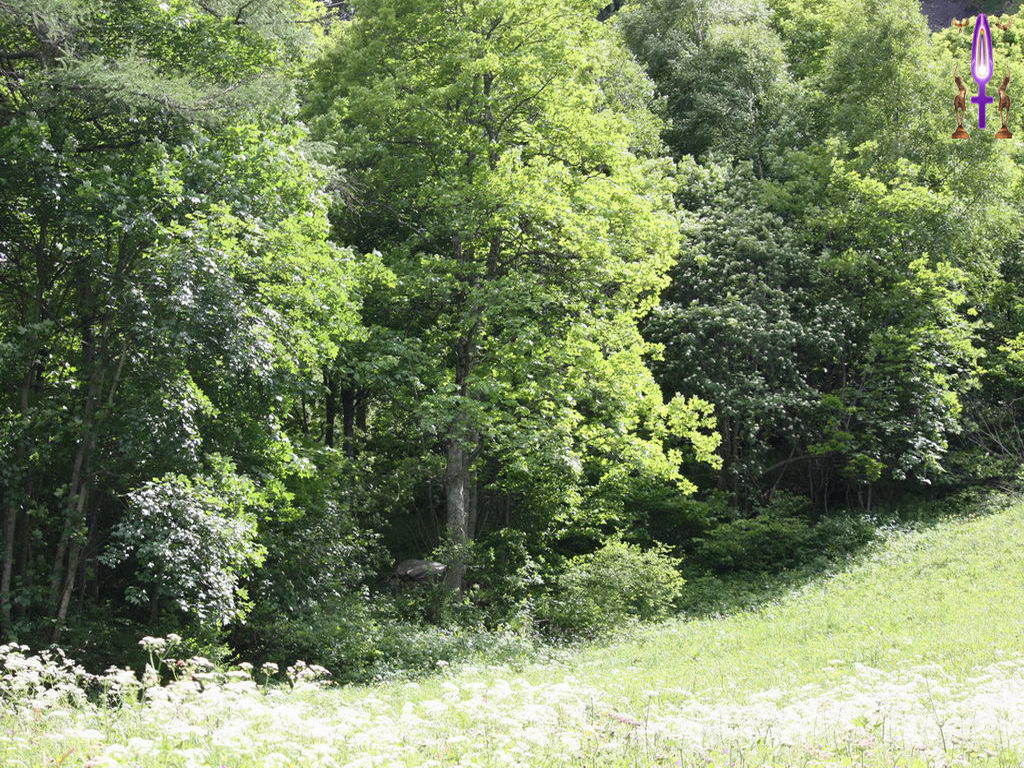 Croix de Lumière, Photo de la Série K No 68 