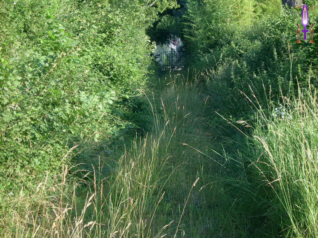 Croix de Lumière, Photo de la Série K No 69 