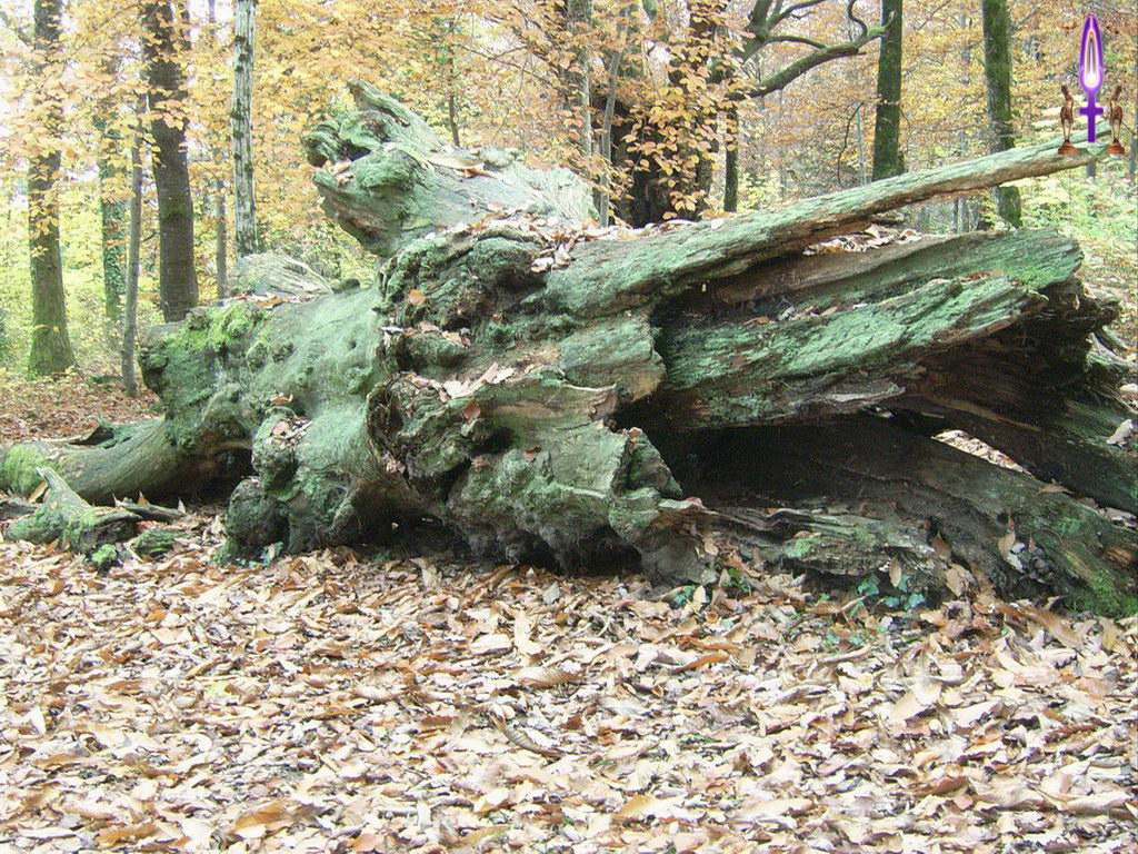 Croix de Lumière, Photo de la Série K No 77 