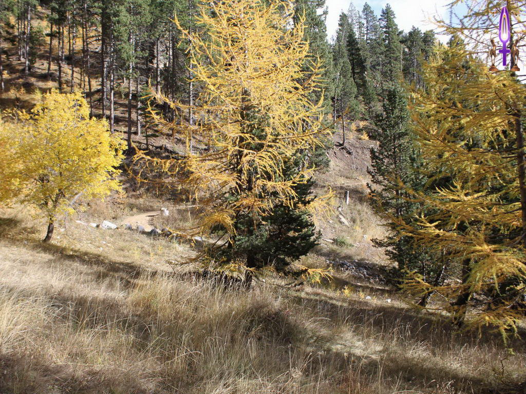 Croix de Lumière, Photo de la Série K No 79 