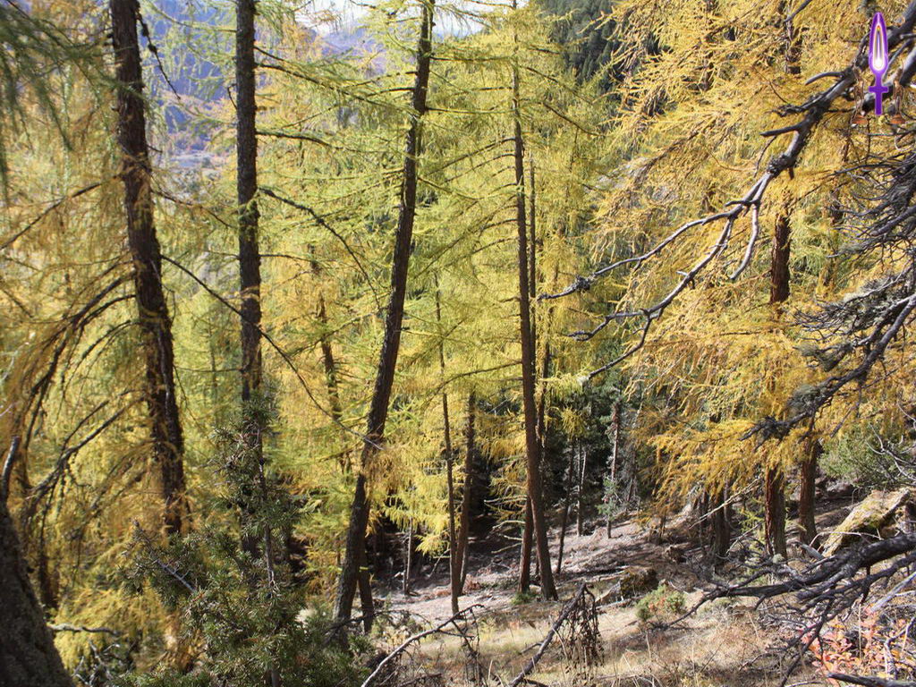 Croix de Lumière, Photo de la Série K No 83 