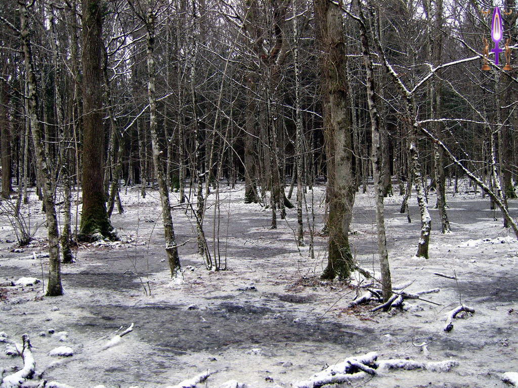 Croix de Lumière, Photo de la Série K No 84 
