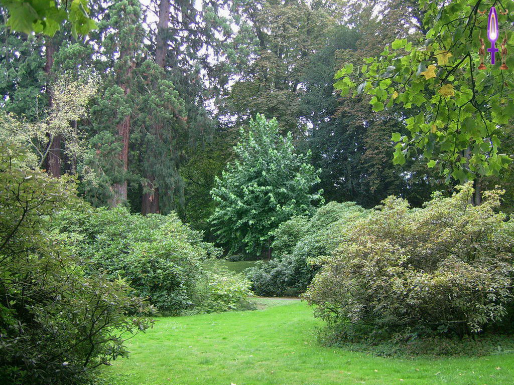 Croix de Lumière, Photo de la Série K No 87 