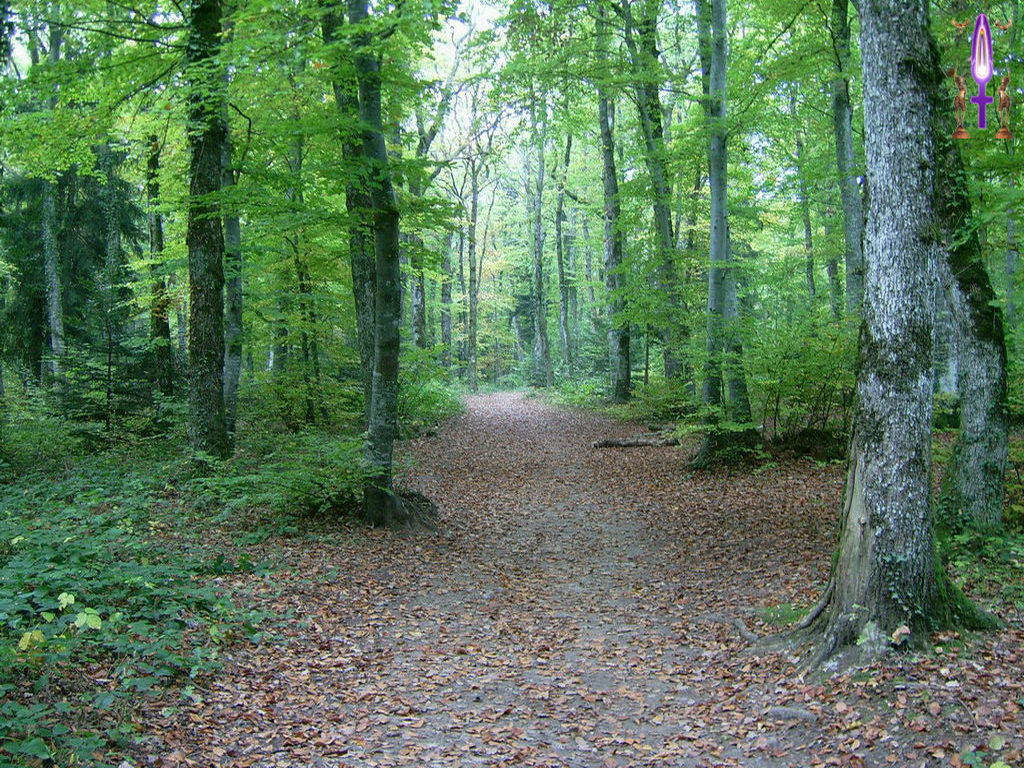 Croix de Lumière, Photo de la Série K No 88 