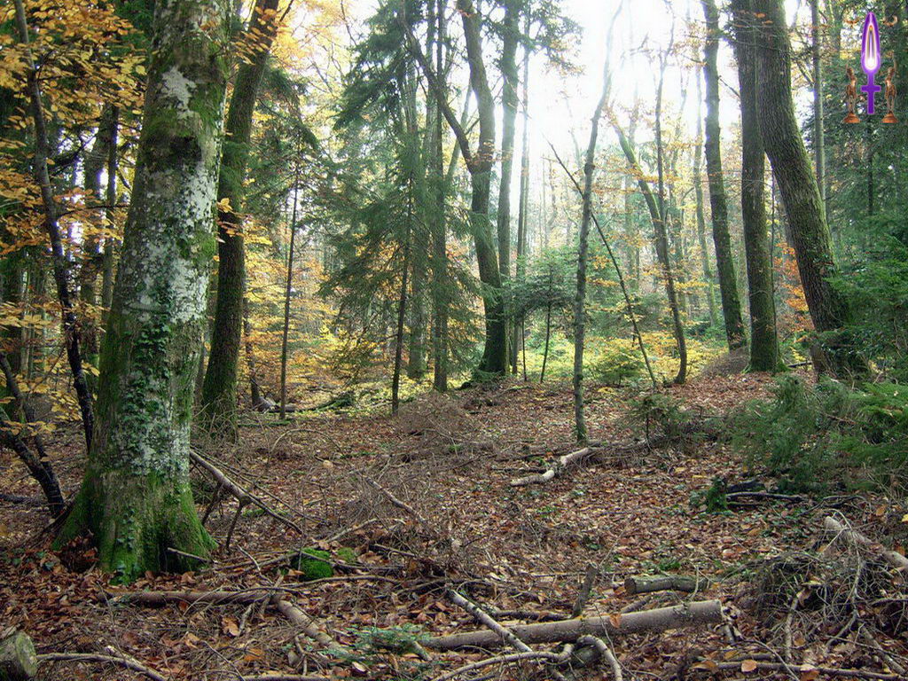 Croix de Lumière, Photo de la Série K No 090 