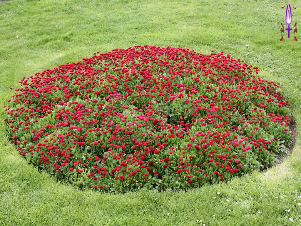 Croix de Lumière, Photo de la Série K No 91 