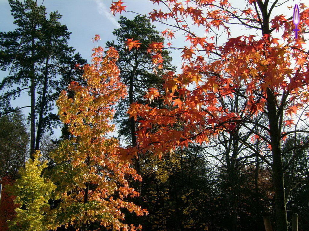 Croix de Lumière, Photo de la Série K No 92 