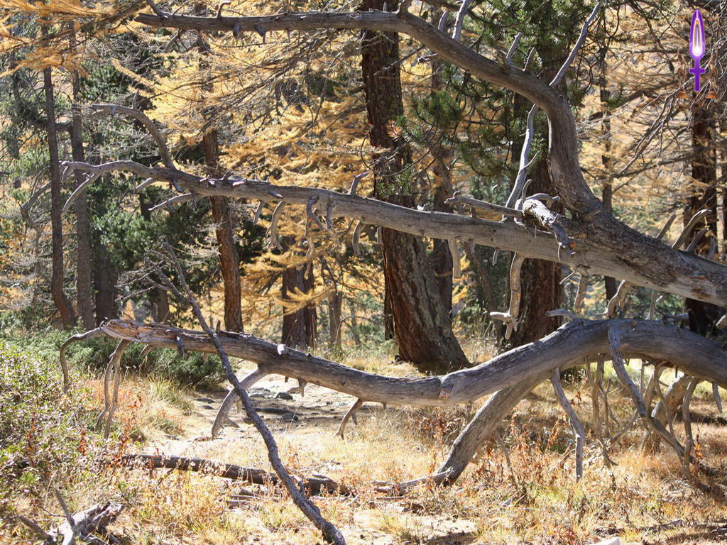 Croix de Lumière, Photo de la Série K No 93 