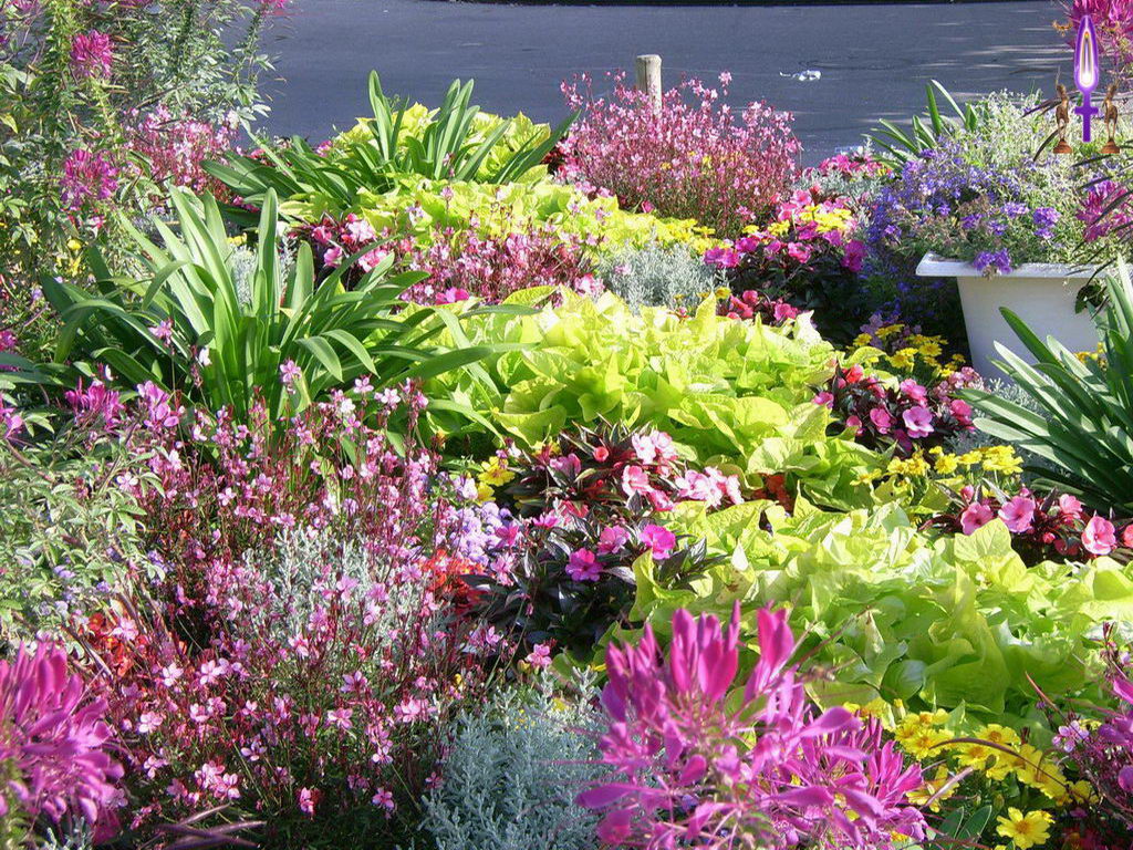 Croix de Lumière, Photo de la Série K No 98 